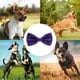 thumbnail image 5 of Pajarita formal para perros Amajiji® para perros medianos y grandes, 5 of 5