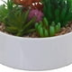 thumbnail image 2 of Planta Decorativa Suculentas Multicolor Maceta Bca., 2 of 4