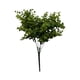 thumbnail image 1 of Pasto Boxwood 40cm Artificial, 1 of 3