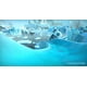 thumbnail image 4 of Ice Age Scrat's Nutty Adventure! Nintendo Switch Fisico azul, 4 of 4