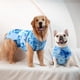 thumbnail image 3 of Traje De Recuperación Para Perros Transpirable Y Anti lamido Tipo Enterizo, 3 of 7