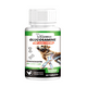 thumbnail image 1 of Dog Joint Pet Glucosamina Cuidado Articulaciones Perros, 1 of 7