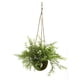 thumbnail image 2 of Cesta Colgante Artificial Casi Natural Mini Ruscus Juego De 3, 2 of 2