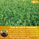 thumbnail image 5 of Bolsitas de té FRESHDRINKUS Premium 75 de fenogreco puro herbal, 5 of 9