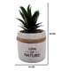 thumbnail image 3 of Planta Artificial Macetero Cerámica Vintage Love Of Nature, 3 of 3
