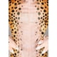 thumbnail image 5 of Disfraz de Guepardo para Niños – Talla L con Manoplas y Accesorio de Cabeza, 5 of 6