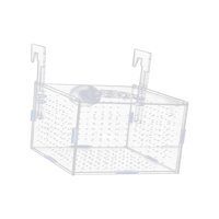 Magideal - Caja De Aislamiento Para Acuario, Soporte Para Cría De Peces, Accesorios Transparentes Multifunción Para Acuario, Fly Liver Guppy, Alevines Para Recié 15X10X10Cm Y Gancho