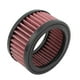 thumbnail image 1 of Filtro De Admisión De Filtro De Aire De Motocicleta Para Harley XL883 XL1200 X48, 1 of 3