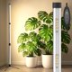 thumbnail image 1 of Luces de cultivo de pie SANSI T10 55W 144 LED de espectro completo, 1 of 9