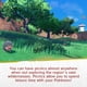 thumbnail image 5 of Videojuego Nintendo Pokémon Scarlet +El tesoro oculto de Area Zero DLC, 5 of 7