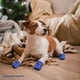 thumbnail image 2 of Botas Para Perros De Patas, Zapatos Antideslizantes De Cuatro Estaciones, Con Banda Reflectante, Para Perros Pequeños Y Medianos, Juego De Cuatro Piezas, Tamaño: 4 Yardas, 2 of 7
