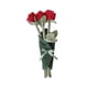 thumbnail image 5 of Bonita Muñeca De Peluche De Flores, Suave, Decoración Para El Hogar, Bonita Y Creativa, Para Esposa, Hija Y Niñas, Color Rojo, 5 of 5