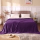 thumbnail image 2 of Manta polar BEDELITE tamaño king violeta para cama y sofá, 2 of 8