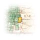 thumbnail image 4 of Mapa National Geographic Pikes Peak Cañon City 137, 4 of 5