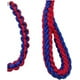 thumbnail image 3 of Correa Trenzada Para Perros Grandes + Collar De Ahorque XL Rojo/azul, 3 of 3