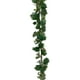 thumbnail image 1 of Guirnalda Guia De Parra 180cm, 1 of 2