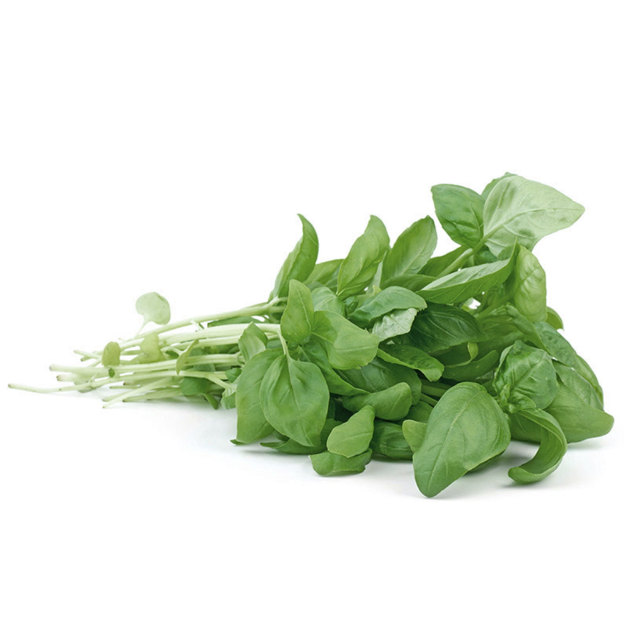 Albahaca Bolsa 1 Un