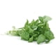 thumbnail image 1 of Albahaca Bolsa, 1 Un, 1 of 3