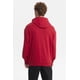 thumbnail image 3 of Polerón Hombre Hoodie Print Central Rojo, 3 of 4