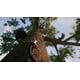 thumbnail image 4 of Videojuego Perp Games – Away: The Survival Series para PS4, 4 of 8