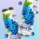thumbnail image 3 of Té blanco Beverage AriZona con arándanos, 650 ml (paquete de 12), 3 of 5