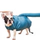 thumbnail image 1 of Secador de perro mascota, soplador rápido y fácil Protable herramienta profesional pelo mascota bajo ruido puff y peluche baño cuidado - (L), 1 of 3