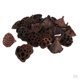 thumbnail image 2 of 150 Uds. Flores De Vaina De Loto Secas Naturales Fruta Para Manualidades Decorativas Florales DIY, 2 of 5