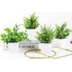 thumbnail image 3 of Norplat 4 Plantas Artificiales Decorativas Hogar Macetas, 3 of 3