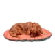 thumbnail image 2 of Cama Para Perros De Viaje Al Aire Libre Trail Pup Para Perros Grandes, 2 of 9