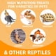 thumbnail image 4 of Alimento Para Mascotas Larvas De Mosca Soldado Negra 204 G 6 Unidades Alto Contenido De Proteína, 4 of 8
