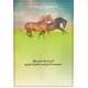 thumbnail image 4 of Tarjetas de Felicitación CPG Caballos Salvajes 12 unidades (Escritura KJV), 4 of 9
