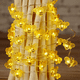 thumbnail image 5 of Guirnalda de luces, hada abeja, guirnalda de luces a pilas, decoración para árbol de Navidad, 20 LED, 5 of 5