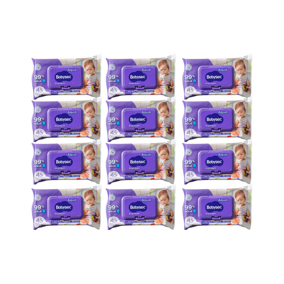 Pack 12 Toallitas Húmedas Babysec Hipoalergénicas Aloe Vera 70 Unidades c/u , 840 Toallitas,