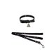 thumbnail image 1 of Collar Starwars Talla M + Correa, 1 of 5