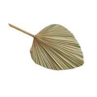 Bothyi - Ramo De Flores Secas De Hoja De Palma Seca Para Arreglo De Arco Decoración Del Hogar De Boda 50X23Cm