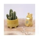 thumbnail image 5 of Pasta Para Modelar, Air Dry Clay 250gr. Jovi ocre, 5 of 5
