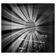 thumbnail image 5 of Altavoz de monitor activo Pioneer DJ VM-50 de 13,34 cm, color negro, 5 of 9