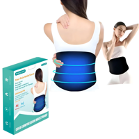 Genérica - Cinturón Compresa Lumbar Terapia Frío Calor Ajustable