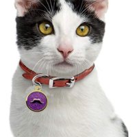 Genérico - Paq 12 Placa De Identificacion Redonda Mascotas Lau