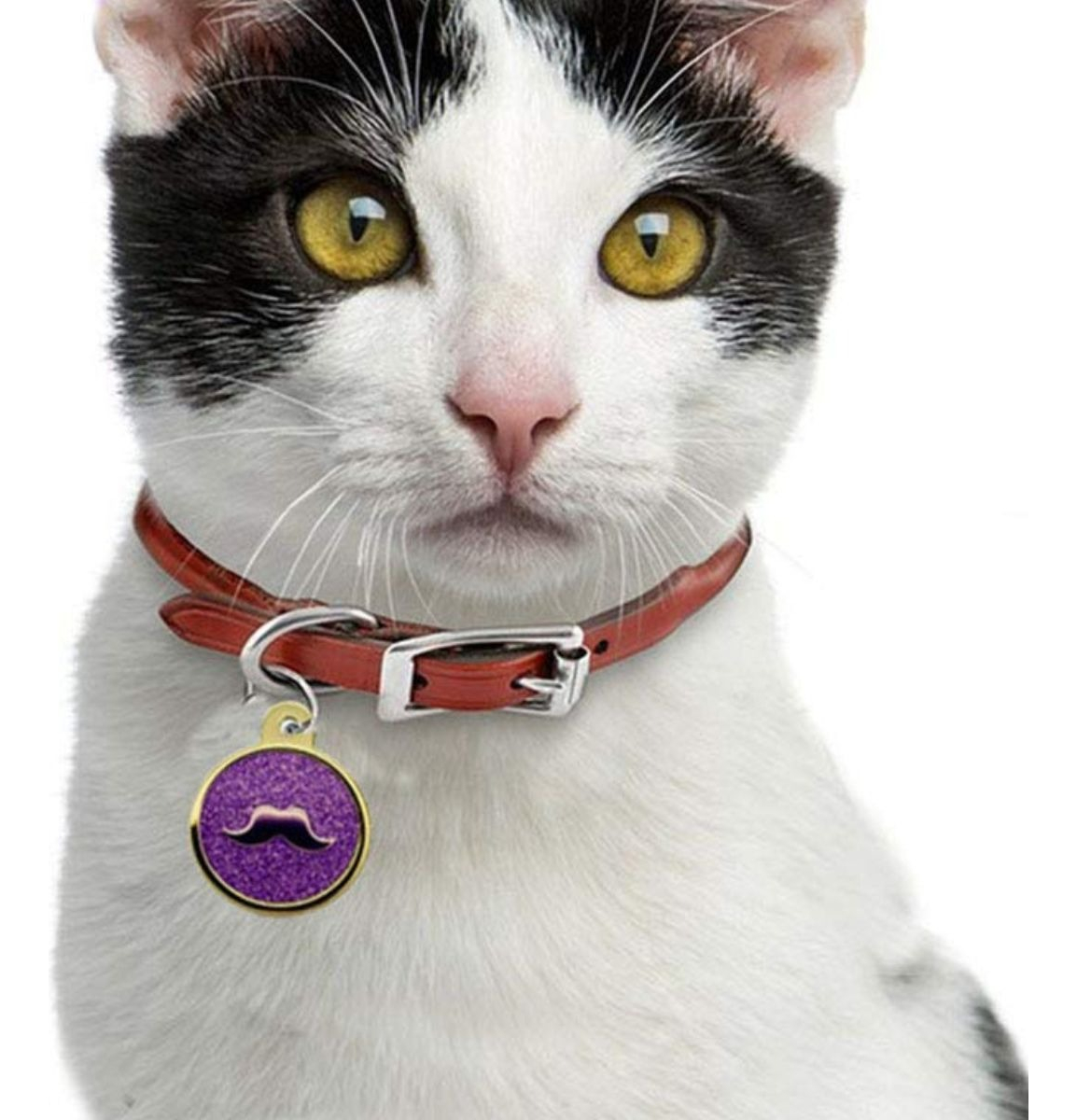 Genérico - Paq 12 Placa De Identificacion Redonda Mascotas Lau