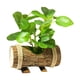 thumbnail image 2 of Plantas Verdes En Macetas Artificiales Plantas En Macetas Pequeñas Para Estante Farmhouse Style D, 2 of 5