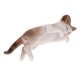 thumbnail image 2 of Simulación Animal Modelo Ni?os Juguetes Educativos Panda Lado Durmiendo Pl127 1514, 2 of 5