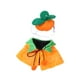 thumbnail image 1 of Capa De Calabaza Para Gato Para Halloween, Disfraz De Gato Para Halloween Para Perros, Conjunto De Capa De Calabaza Para Cosplay De Halloween, 1 of 3