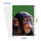 thumbnail image 2 of Tarjeta de felicitación 90210 Exotics Lindo chimpancé de 13 x 18 cm con foto, 2 of 5