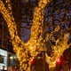 thumbnail image 2 of Cadena de luces navideñas con batería DealBeta 50 LED de 5 m, paquete de 4, 2 of 3