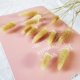 thumbnail image 3 of 90 piezas de ovatus secos naturales, colas de conejo secas de pampas para arreglos florales, decoración de bodas y hogar., 3 of 7