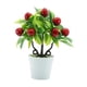 thumbnail image 1 of Plantas Artificiales en Maceta, Miniplantas Falsas, Bonsái, Frutas Falsas, Planta en Maceta, Planta de Fruta Artificial para Exteriores, Oficina Y Dor Guindas, 1 of 5