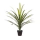thumbnail image 1 of Planta Artificial Planta Dracaena 60 Cm 28 H, 1 of 2