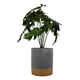thumbnail image 1 of Planta Artificial Tropical Macetero Ceramica Gris Con Dorado, 1 of 7