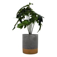 Fliperex - Planta Artificial Tropical Macetero Ceramica Gris Con Dorado